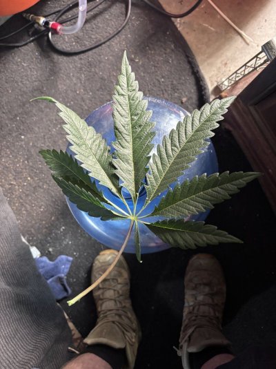 IMG_3712.jpeg