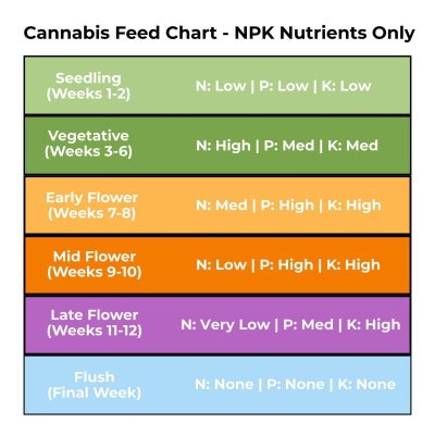 are-ur-nutes-in-order-5.jpg