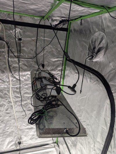 mars-hydro-led-light-fc-4800-sp-3000-tsl-2000-5.jpg
