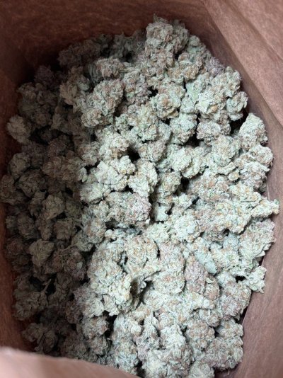 Khalifa Mints - Compound Genetics.