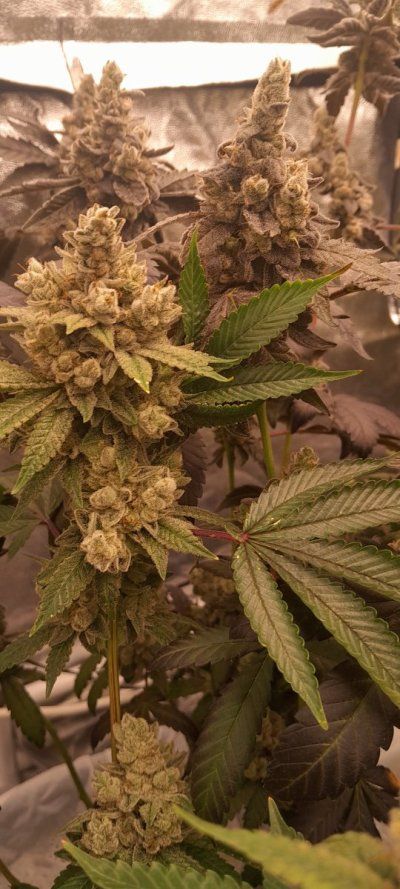 Week 9 — how close am I?