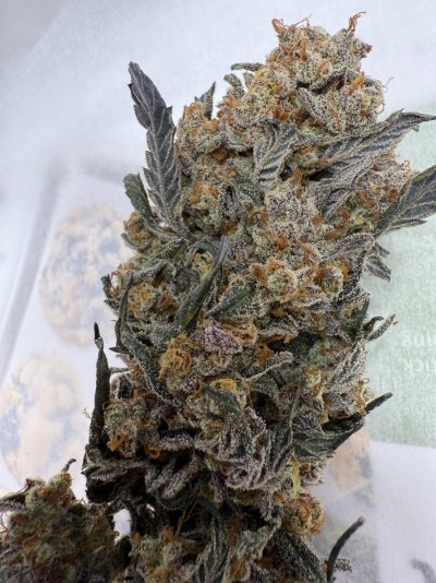 Let's See Your Frostiest Flowers