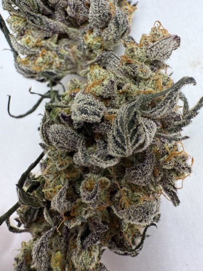 Let's See Your Frostiest Flowers