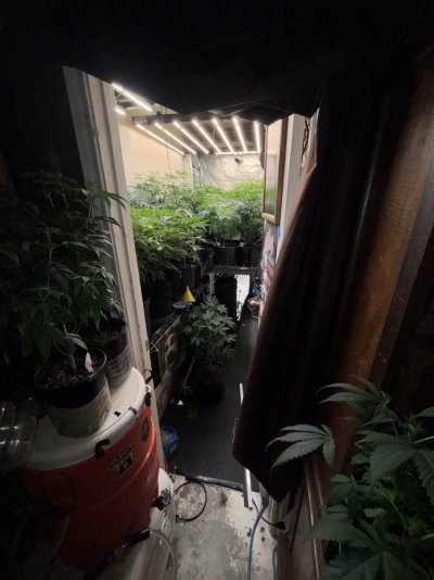 IMG_4016.jpeg