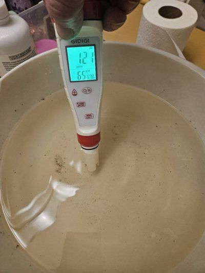 20251219_122758.jpg