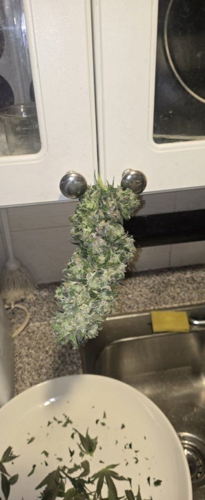 New Simple Hack for Trimming