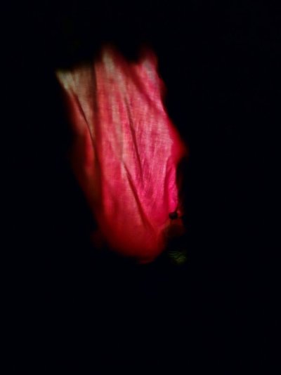 20251229_184258.jpg