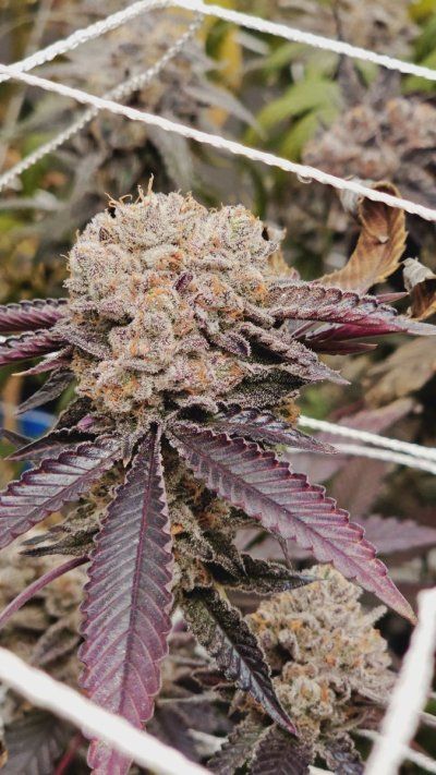 20230819_235746.jpg
