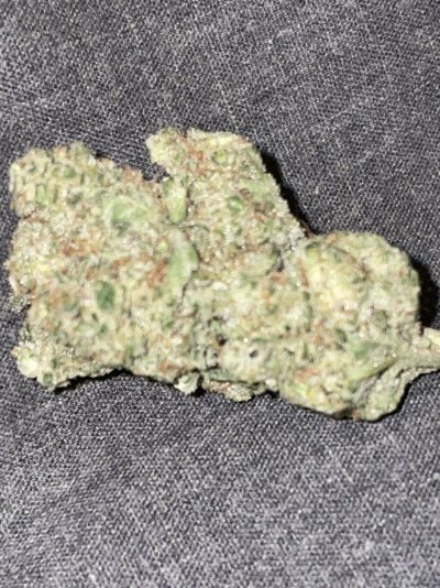 opinions-on-this-bud-please-3.jpeg