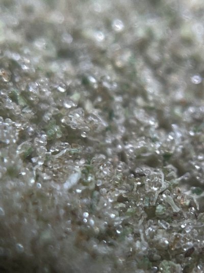 dry sifting to hashish pressing