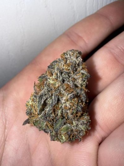 Looking for Micro-Optimal Strain Suggestions from Experience.