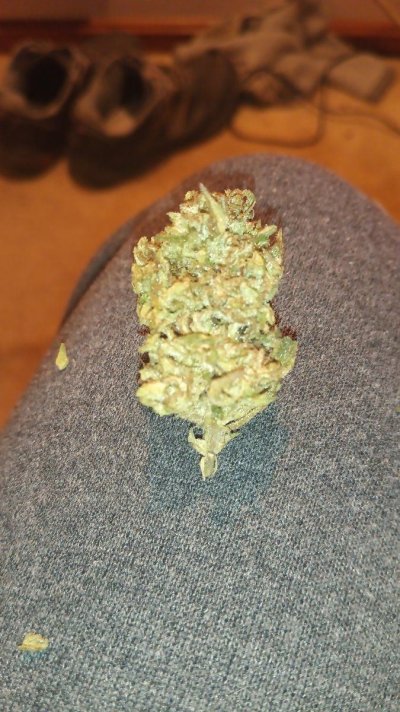 What are you smoking right now?