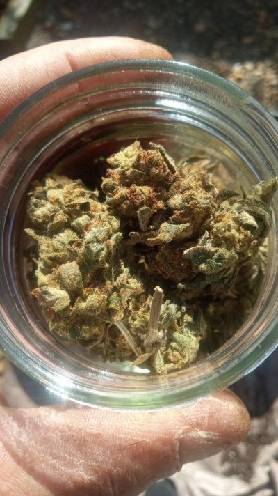 IMG-20250417-WA0002.jpeg