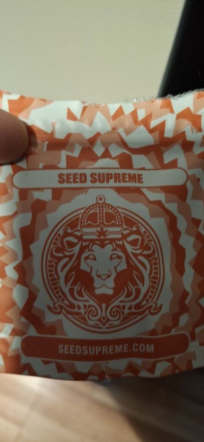 100-organic-tap-water-sour-diesel-og-godfather-grow-9.jpg