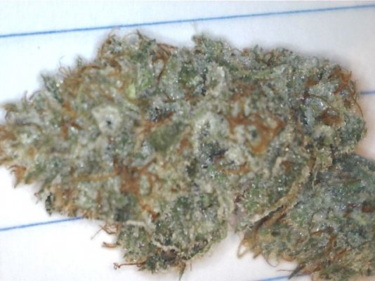 dirty glove danks grow journal-- gagegreen grape stomper,pure alien,fire bubba,ect..