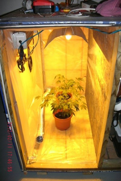 ninja-grow-20-3.jpg