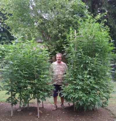 Starting a few reg seeds.