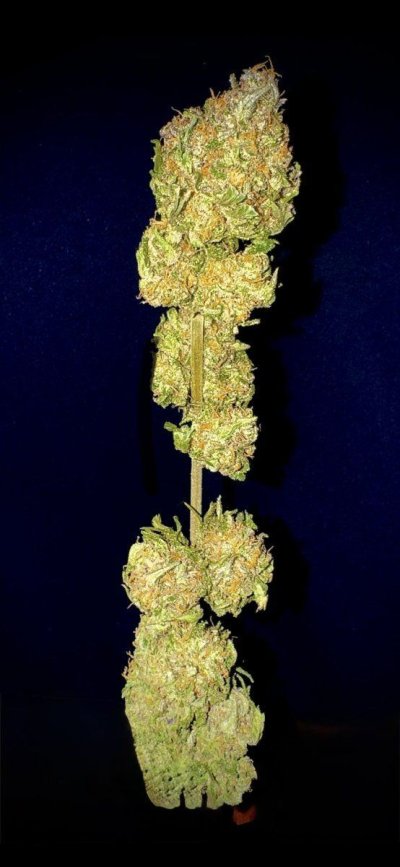 3-strains-unnamed-at-this-time-2.jpeg