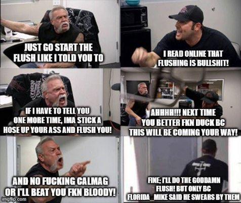amryc4.jpg