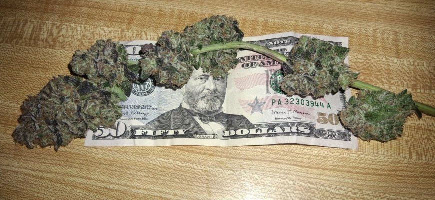 GMonster ReRun That Weed Thread