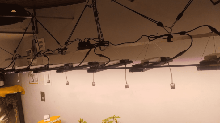 My DIY Hidro setup in Brazil
