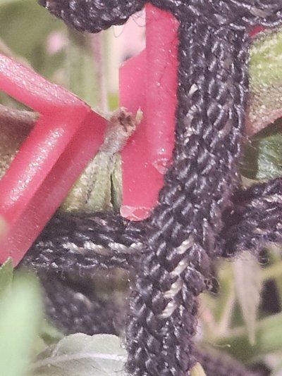 20260331_200105.jpg