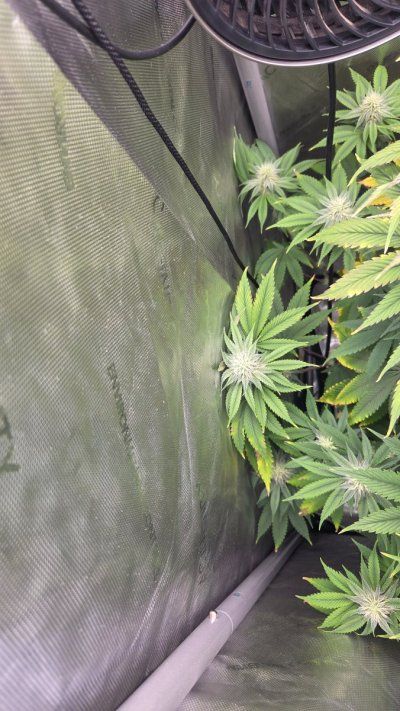 20260404_182709.jpg