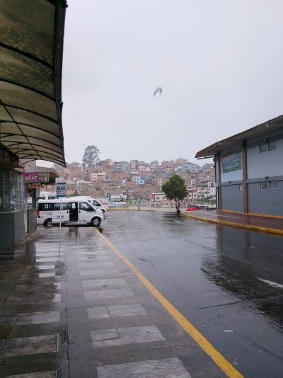 IMG_20260409_125908.jpg