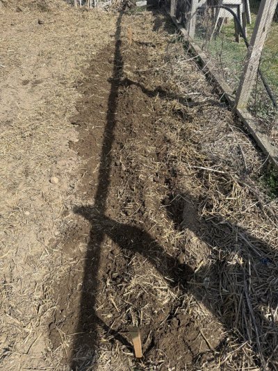 2026 Outdoor Grows! let's see em!