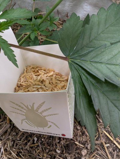 Week4Bytch ..The Cannabis Karen
