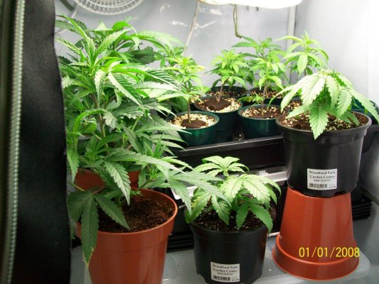 howdo-farmers-2.jpg