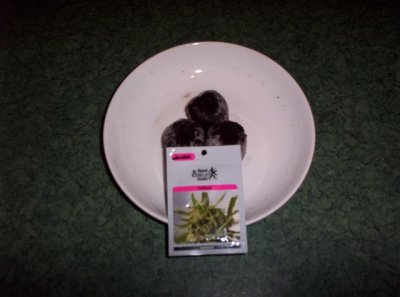 starting-from-seed-this-time.jpg