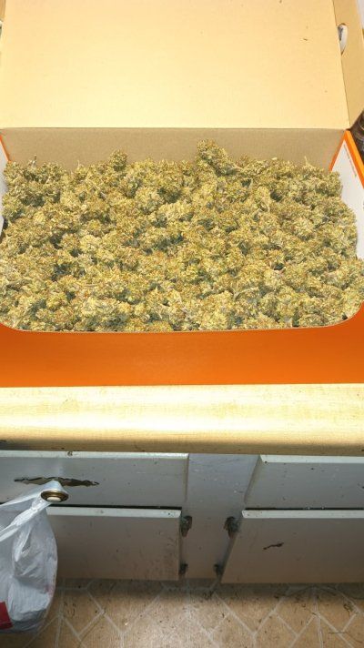 THE TRAINWRECK. Brought to you by thcfarrmer…..