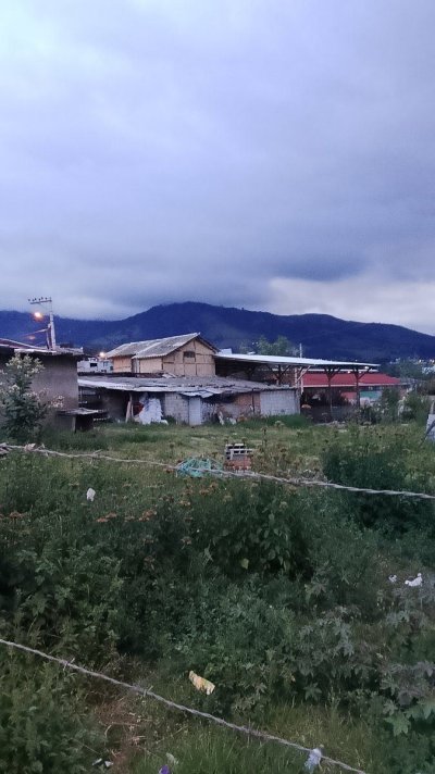 IMG-20260419-WA0075.jpeg