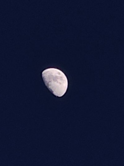 20260425_201331.jpg