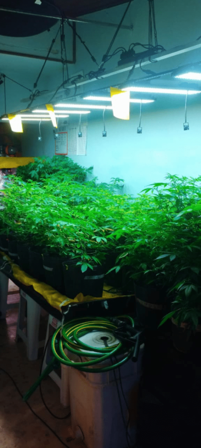 My DIY Hidro setup in Brazil