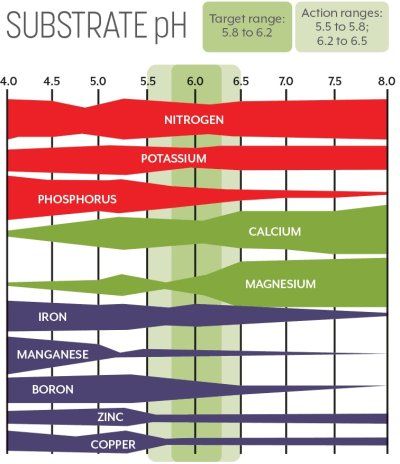 cbt.cult-matters-chart_fmt.jpeg