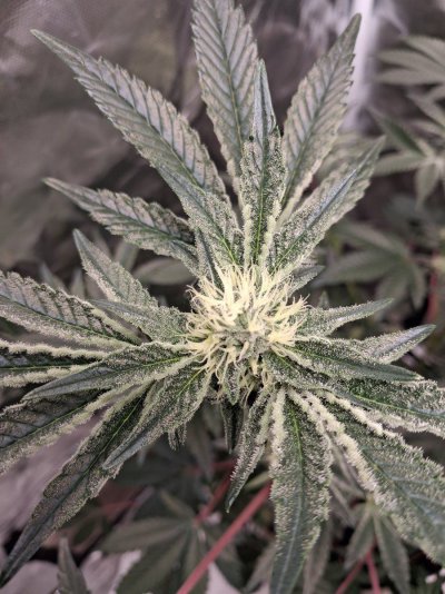 360  5-11 clone.jpg