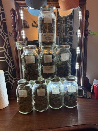 Virginia Growers Thread - Everything VA