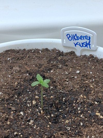 AC INFINITY GIVEAWAY - HYDRONE 5