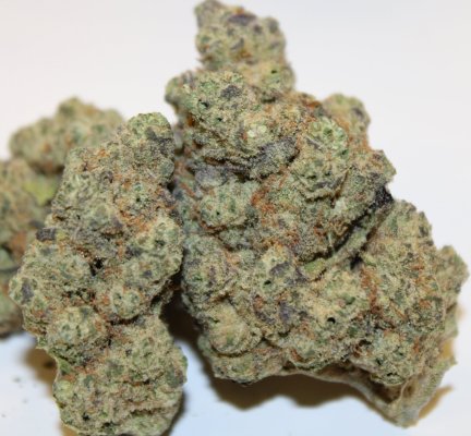 Jamaican Sunset F2