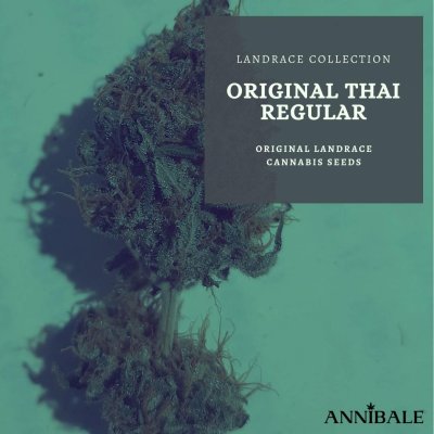 Original Thai