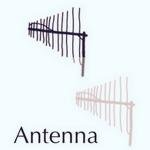 Antenna Gorilla Haze
