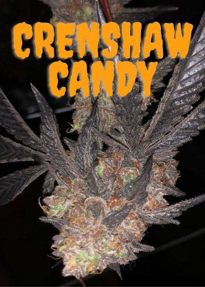 Crenshaw Candy