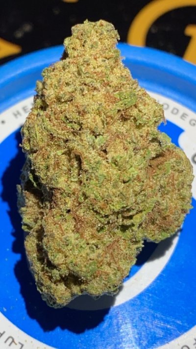 Bat Kush