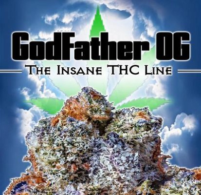 Godfather OG CBD