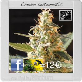 Cream Automatic + Keykard