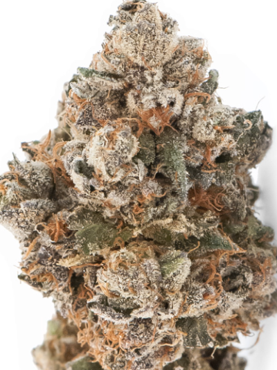 Sunset Sherbert
