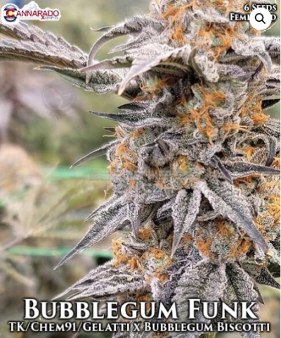 Bubblegum Funk