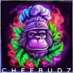 Golden Zooz